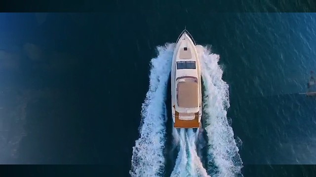 粉色的浪漫预告