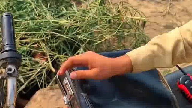 趣！老外恶搞懵到哭笑不得