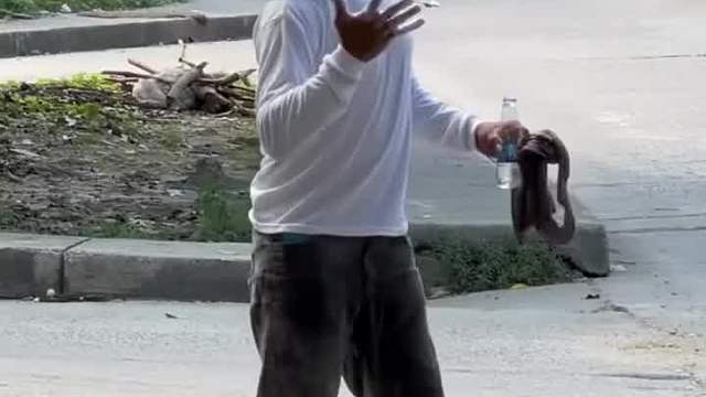 老外整蛊懵到嗨