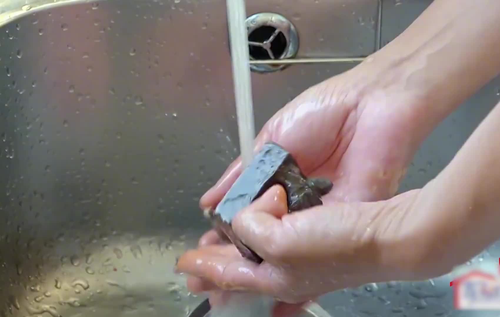 李维嘉年仅半百却依旧选择丁克，原来开明的父母才是孩子的底气！