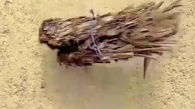 超嗨！老外恶搞懵到对方笑到脱力