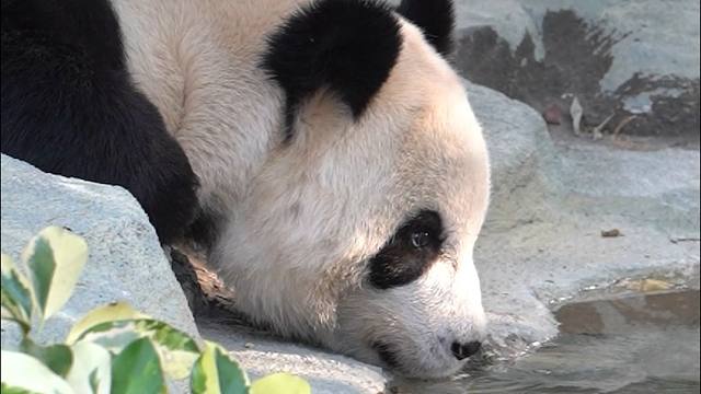 宝宝，你是喝的是困困水吗~