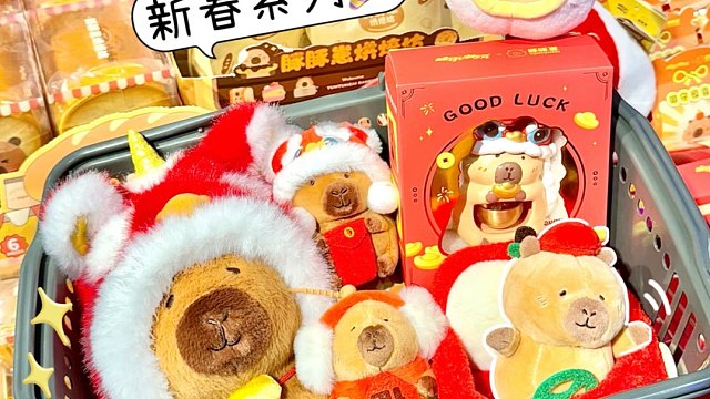 预算300！能买多少豚豚崽？！