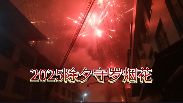 每年坚持守岁就是为了这一幕，再次祝大家新年快乐