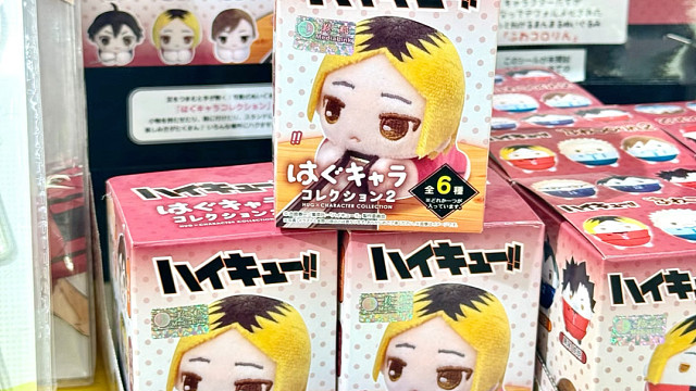 读博记录！排球少年也有毛绒抱抱盲盒了？？