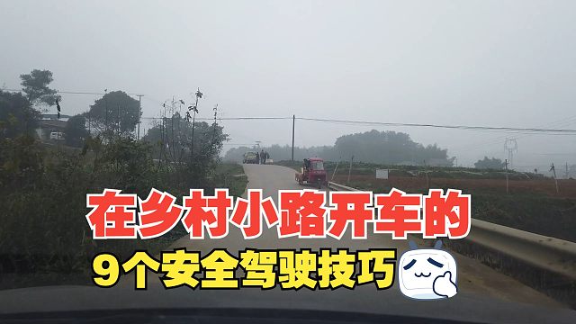 在乡村小路开车的9个安全技巧，春节走亲访友要注意，别开到田里