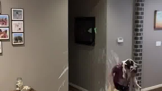 老外另类操作，笑到笑到呕吐