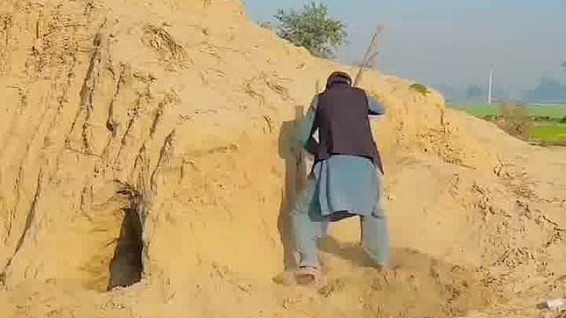 有趣！老外恶搞笑到忘记烦恼