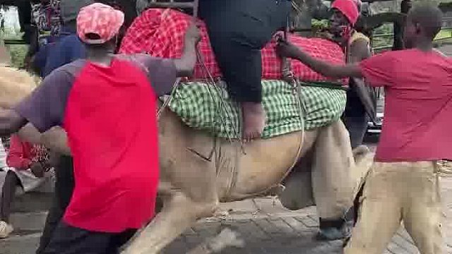 绝！老外恶搞懵到对方呆若木鸡