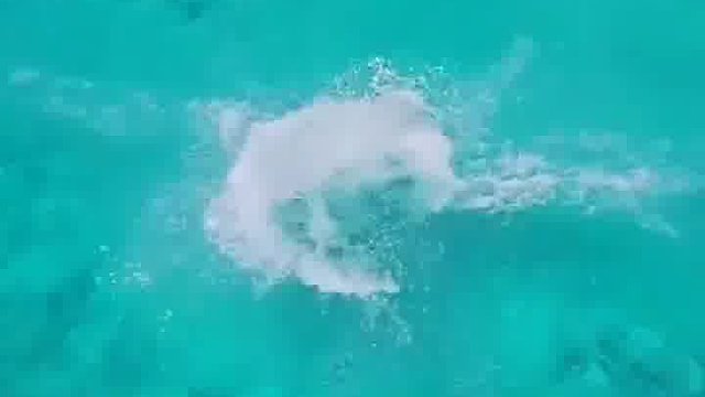 活在自己的热爱里，而不是别人的眼光里