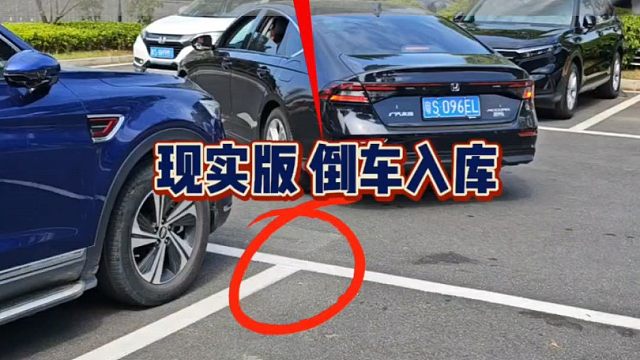 新手上路不懂倒车入库，老司机现场演示