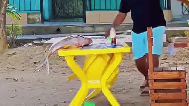 酷炫！老外恶搞笑