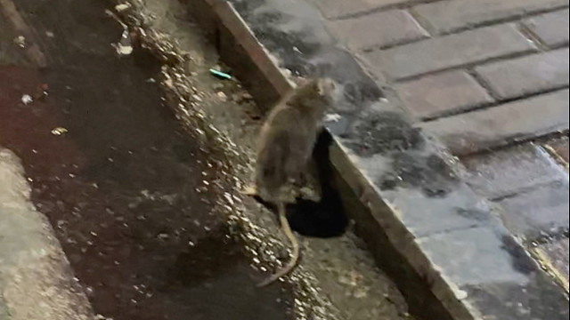 过年也不要忘了偷吃兵线