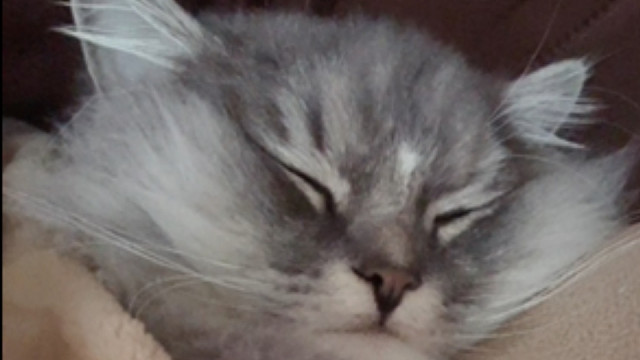 幸福也就是这样吧