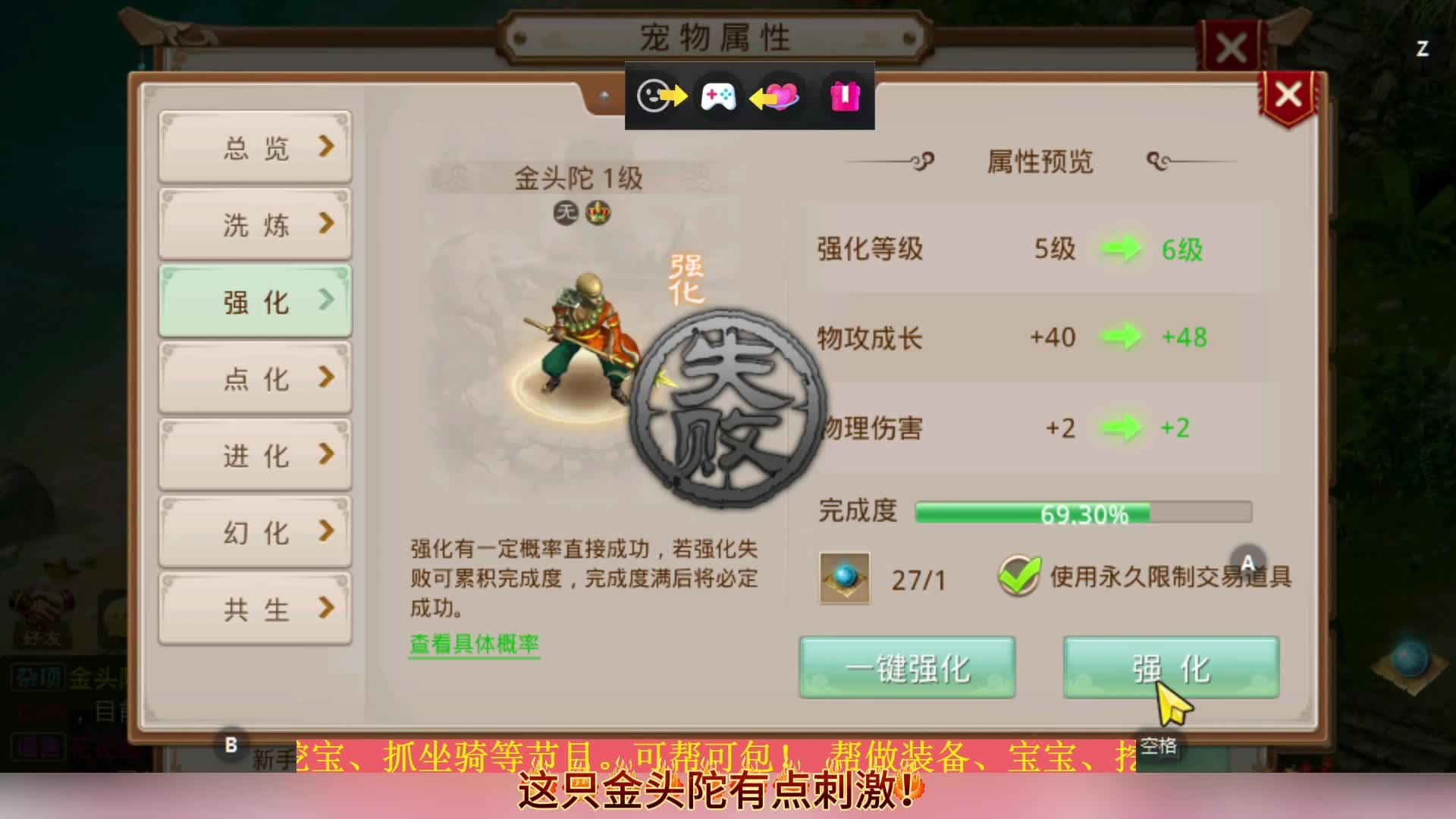 这只金头陀有点刺激！