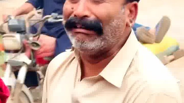 老外整蛊懵掉牙