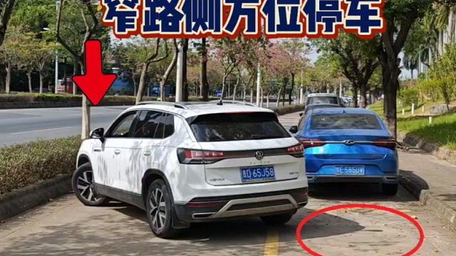 新手上路不懂窄路侧方位停车，教你一招，斯令现场演示超简单！