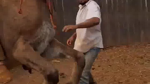 嗨！老外恶搞懵到狂笑不止