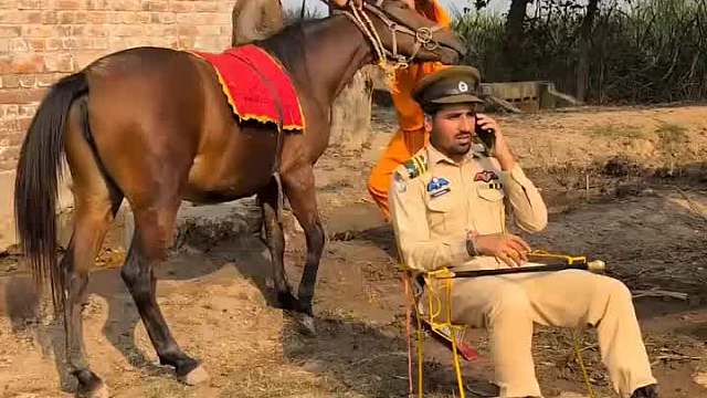 超酷！老外恶搞懵到对方惊掉下巴