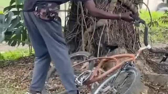 绝了老外恶搞令人超懵逼