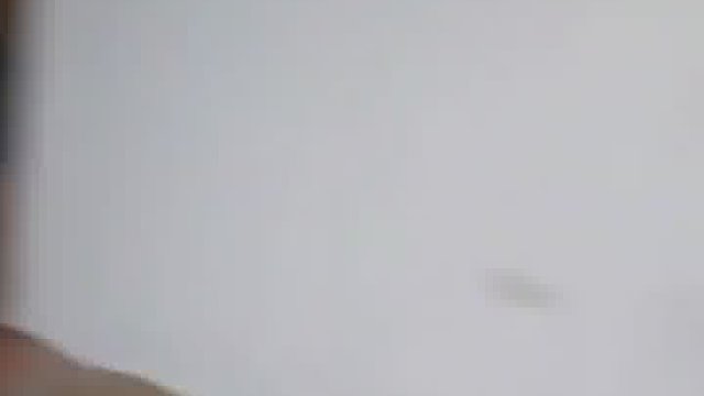 每一只猫猫的到来都像命中注定一样