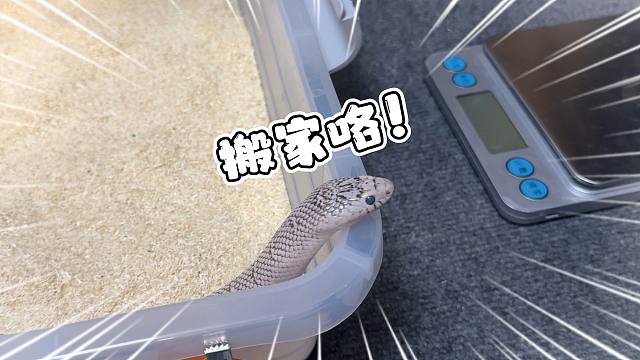 恭喜布鲁克夫妇喜提2800平方厘米大房子！