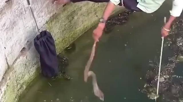 除了三哥，全世界没有人可以完成这高难度的操作