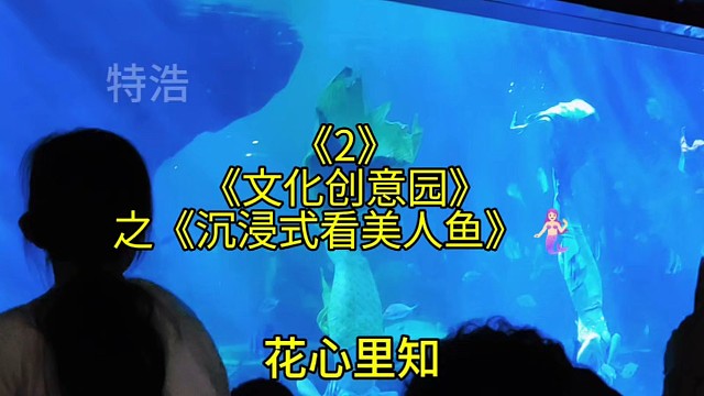 《文化创意园2》之《沉浸式看美人鱼》每一行都有自己的不容易呀