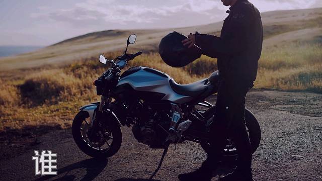 2025谁与争锋？唯我冠军.乔