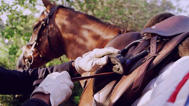 2025谁与争锋？唯我冠军.乔