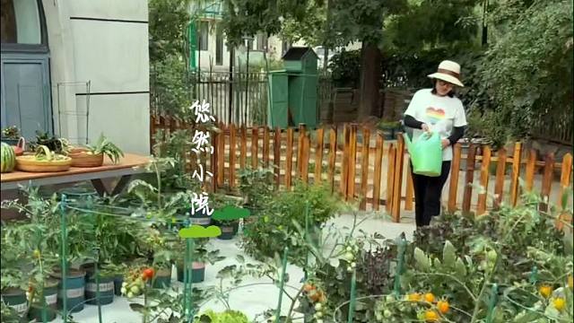 这些种菜知识，你也收藏起来吧