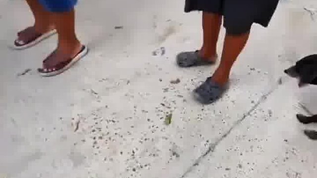 哇塞！笑到音符全乱蹦