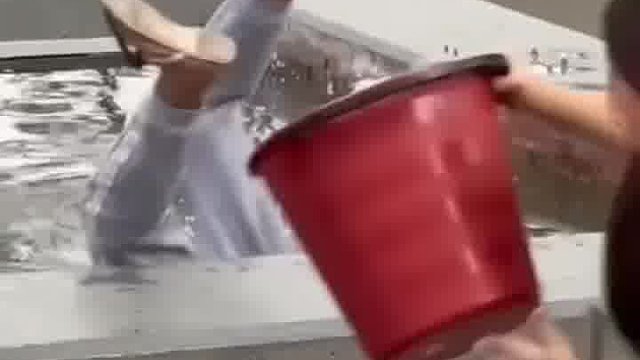 老外笑到神经反射乱