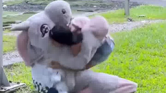 笑到神经环路全乱