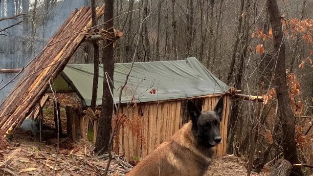 天寒地冻，小伙带着狗狗荒野生存，为躲避极寒天气和野兽袭击，就地取材搭建临时庇护所