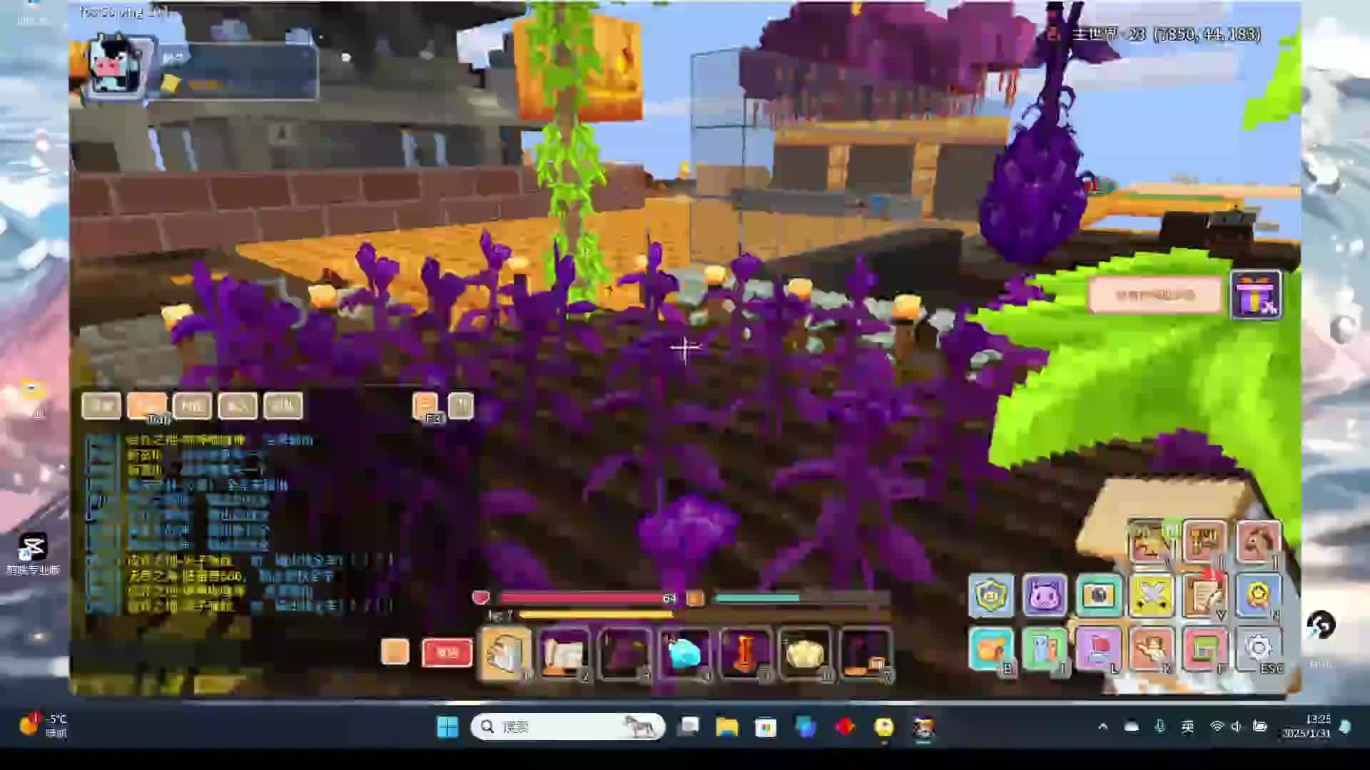 生命老登零氪转生的故事--第十二天片段3