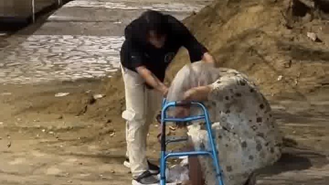 恶搞笑到肾发虚