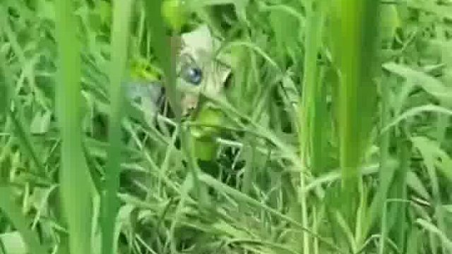 整蛊笑到肩膀疼