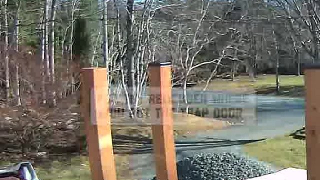 超意外老外互动笑到失语