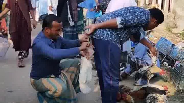 阿三笨行笑到秀气没