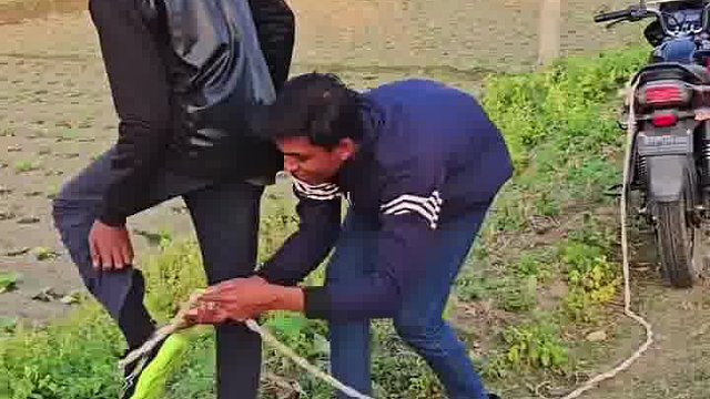 阿三呆劲笑到眼花