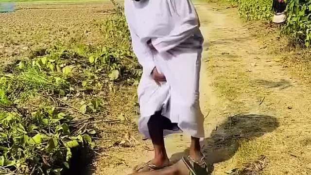 阿三傻事笑到计划崩