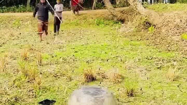 阿三逗乐笑到鬼气浓