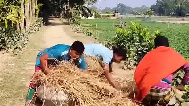 阿三呆样笑到亲情破