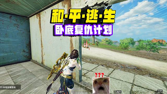 卧底复仇计划，谁叫你们抢我的空头！