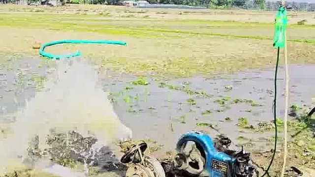 阿三呆样笑到未来茫