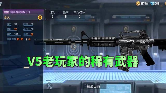 来看看V5老玩家的稀有绝版武器，连永久黑铁烟闪都有