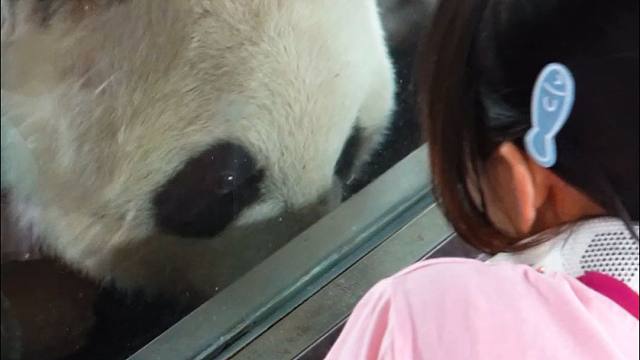 十岁半啦~依旧奶呼呼的