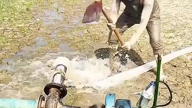 阿三憨态笑到灵魂空