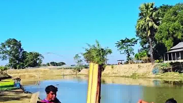 阿三憨态笑到艺术盲